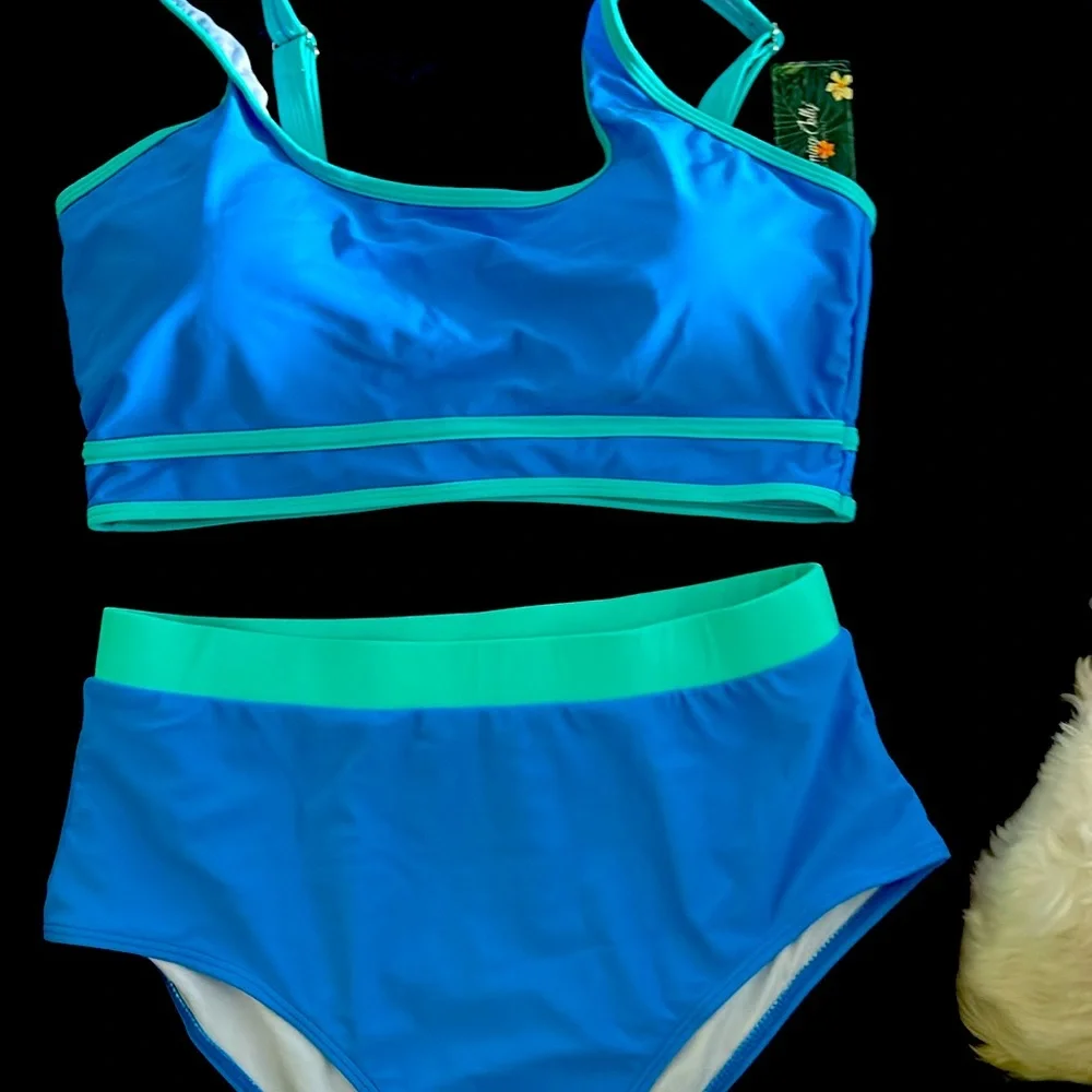 - NWT- 2025 Summer Shades of Blue
BIKINI highway waist full coverage - Picture 1 of 4